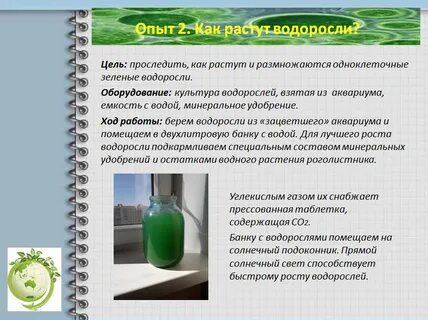 Зеленый вклад