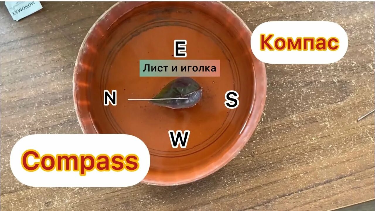 Самодельный компас. Компас из иголки. Компас из иголки и воды. Компас из пробки и иголки. Как сделать компас.