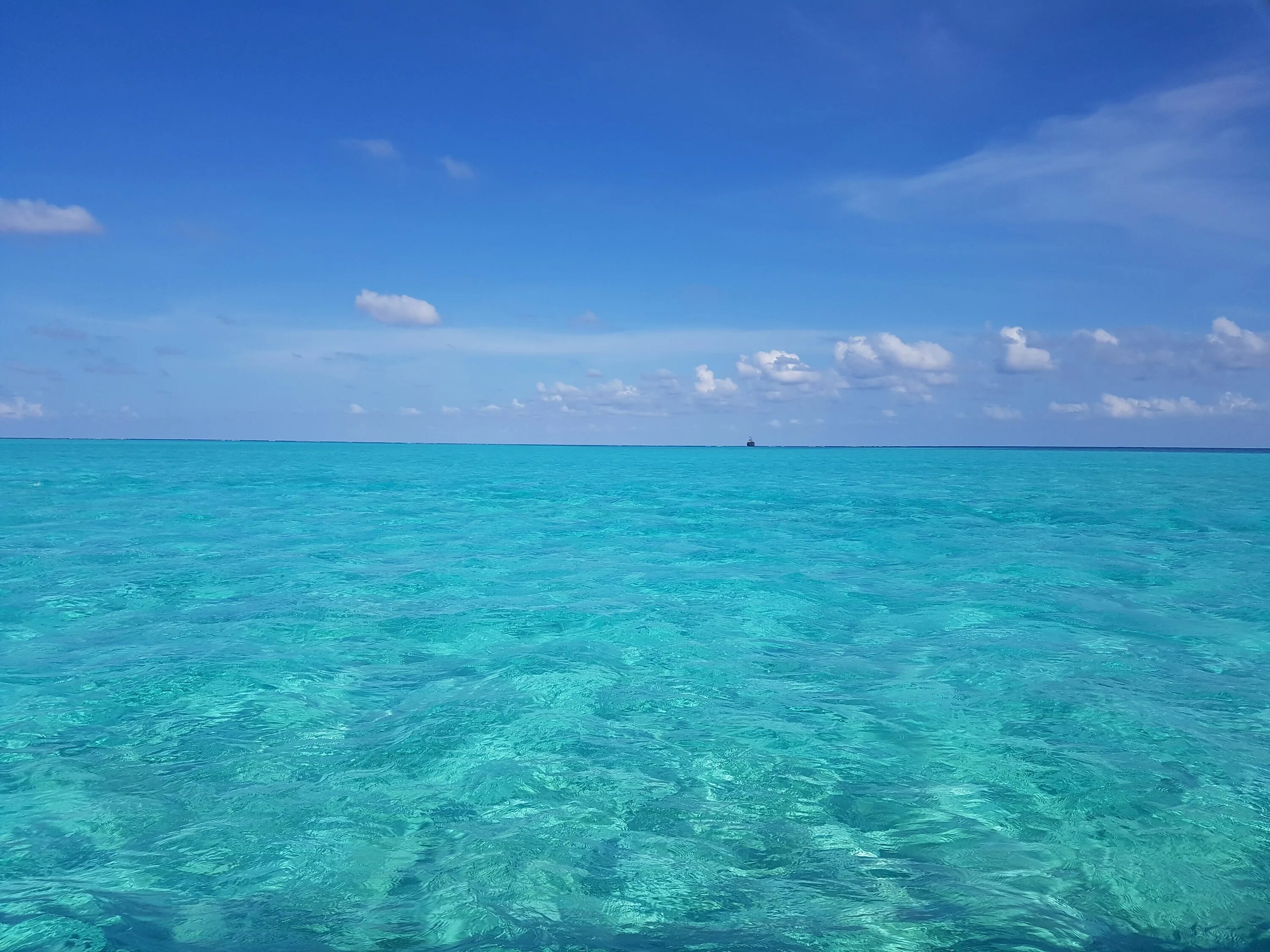 Океан голубая вода. Багамы океан. Карибы и Багамы. Бирюзовое море. Голубая вода.