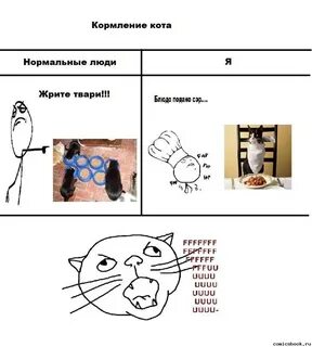 Мемы про котиков