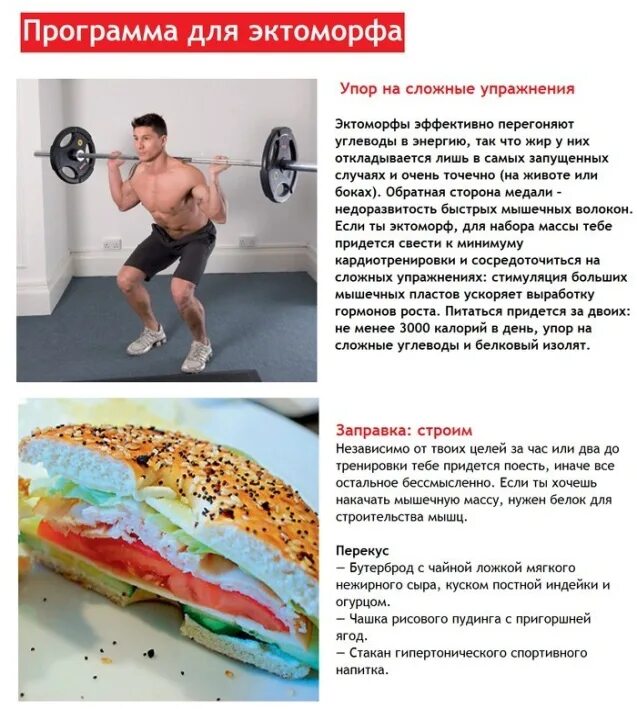 Программа тренировок для эктоморфа для набора. План питания для набора мышечной массы для эктоморфа. план тренировок для эктоморфа. программа тренировок для эктоморфа для набора мышечной массы. программа тренировок для набора мышечной массы для мужчин эктоморф.