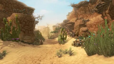 Desert environment