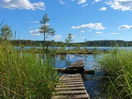 Ивановское ленинградская область