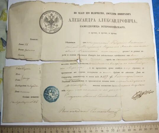 Подорожная пушкина. Подорожные грамоты. Как выглядела подорожная. Подорожная карта. Подорожная карта.