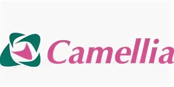 Камелия лого. ООО Камелия логотип. Камелия чайная компания логотип. Логотип салона цветов Камелия. Камелия спб