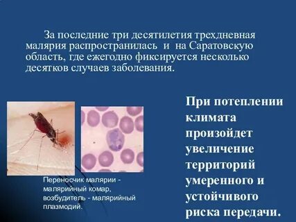 Возбудителем малярии является малярийный