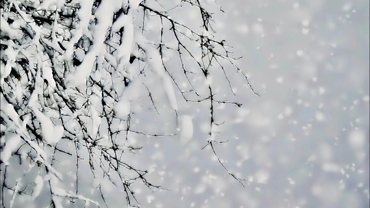 Снег метель. Падающий снег. Звук идущего снега. Зима метель. Снег идет.