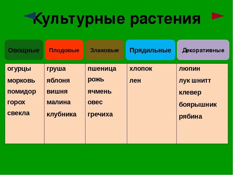 Какая культура относится к прядильным