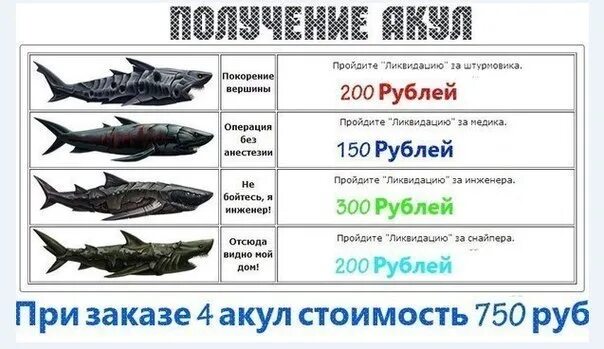 Сколько валют стоит акула. Акулас 2сколько стоит.