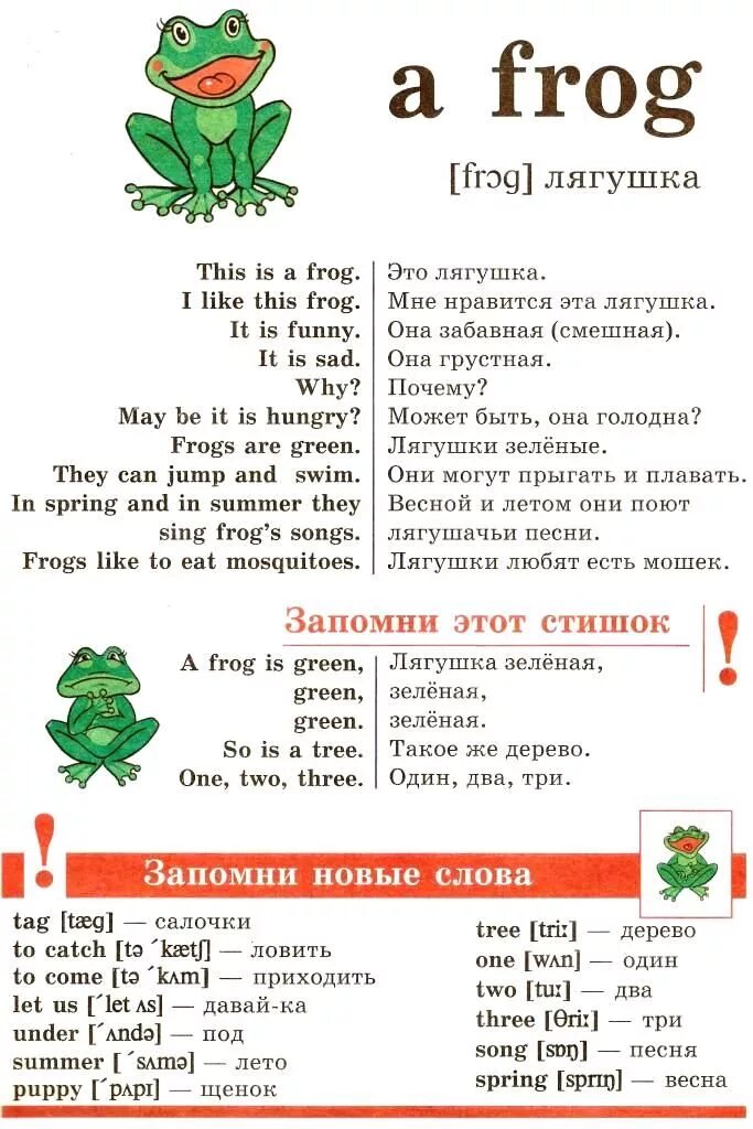 Как говорит лягушка по английски. Загадка про лягушку на английском языке. стих про лягушку на английском 2 класс. лягушка перевод. как пишется лягушка по английски.