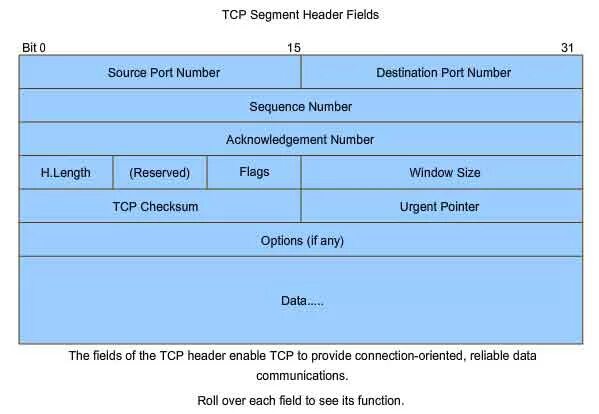 Заголовок TCP. Заголовок сегмента TCP. Формат TCP сегмента. Формат заголовка TCP. Header fields