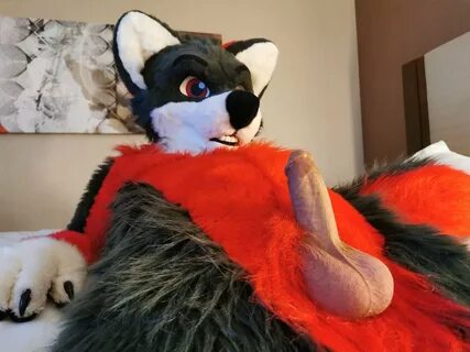 Come sit on my lap #FursuitFriday #murrsuit 