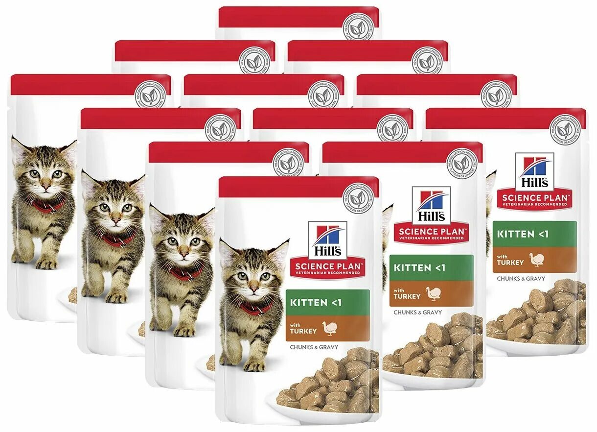 Х 85 г. Хиллс влажный корм для котят. Хиллс для котят сухой. Хиллс корм для котят киттен. Хиллс для котят 1.