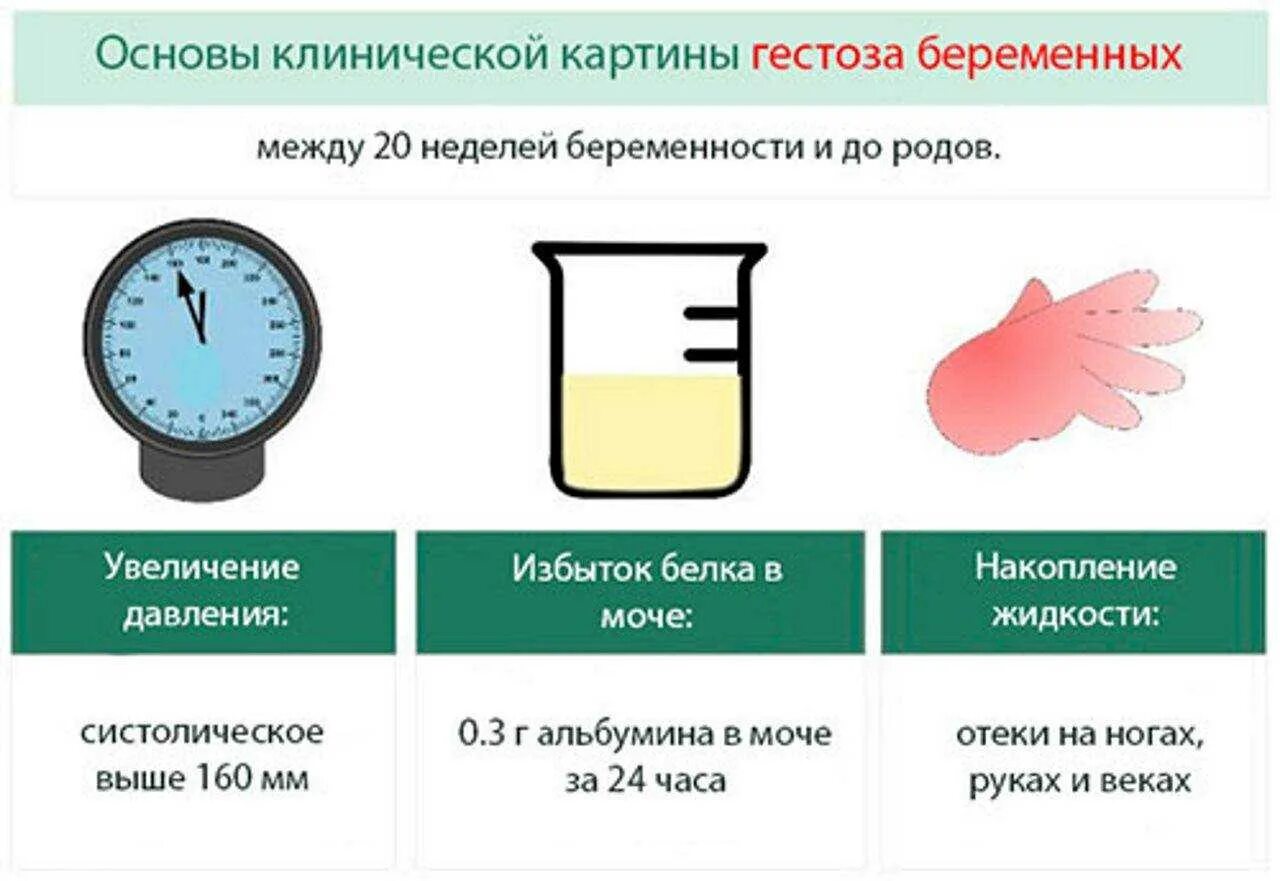 Высокий пульс 2 триместр. Гестоз при беременности 3 триместр. гестоз преэклампсия при беременности. клинические симптомы преэклампсии. симптомы гестоза.
