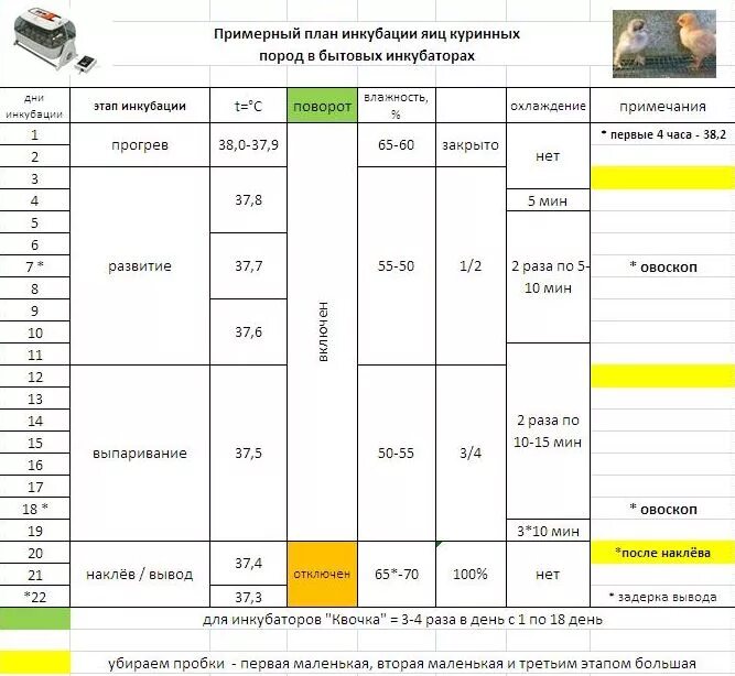 Сколько в инкубаторе выводятся цыплята. Режим инкубации куриных яиц таблица. Инкубация куриных яиц таблица температура. Режим инкубации цыплят бройлеров таблица. Инкубация куриных яиц бройлеров режим инкубации таблица.