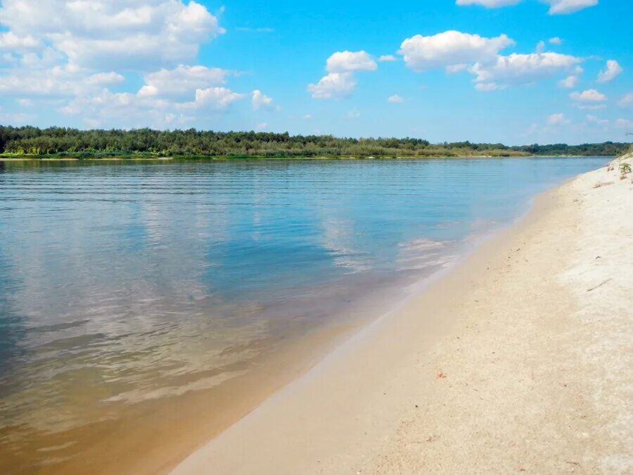 Пляж на реке дон. Река дон стоговская коса. коротояк дон песчаный пляж. коротояк коса песчаная.