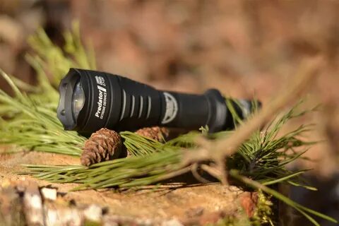 Predator pro