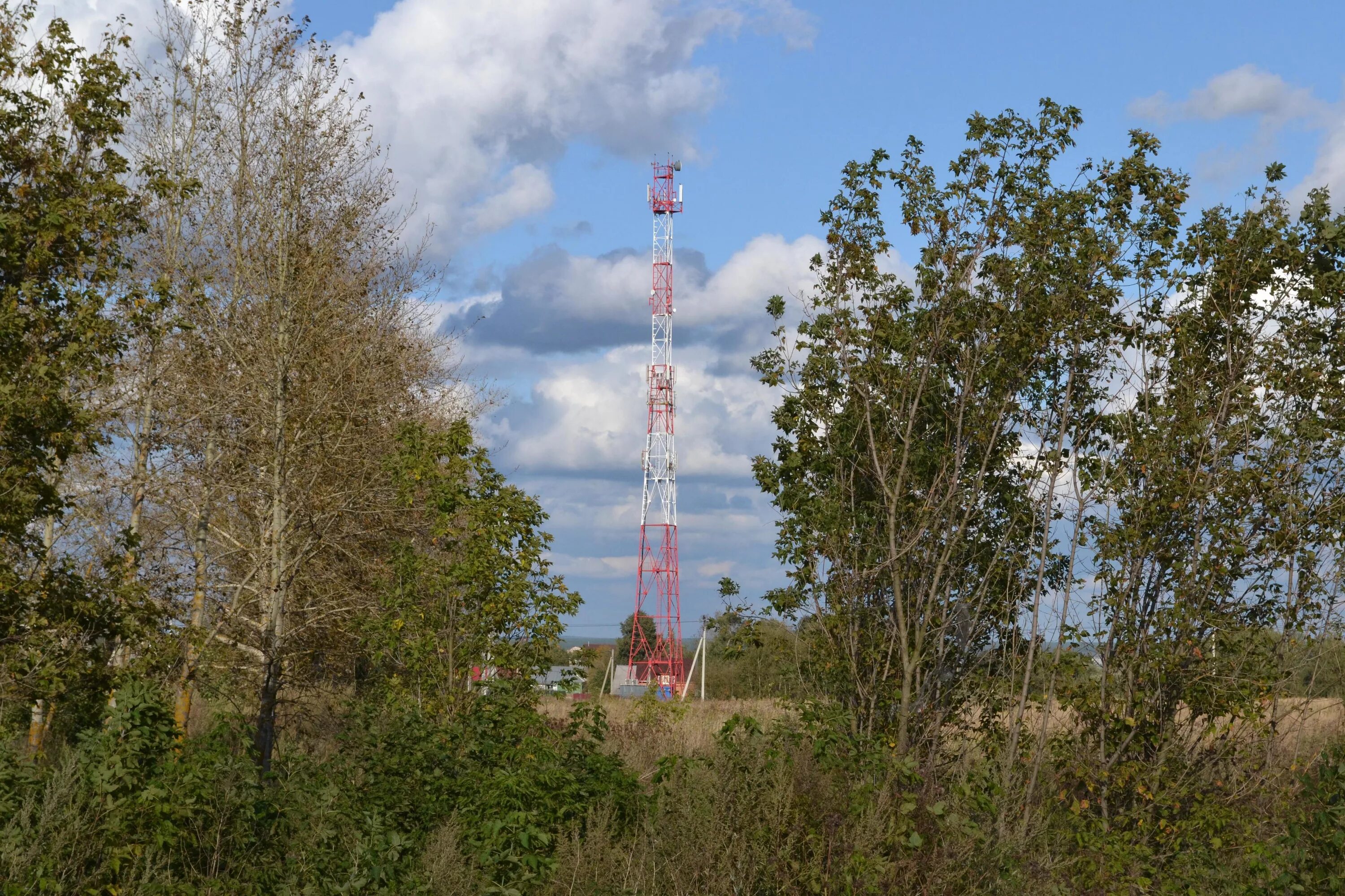 кицково себежского района. сотовая вышка в деревне.