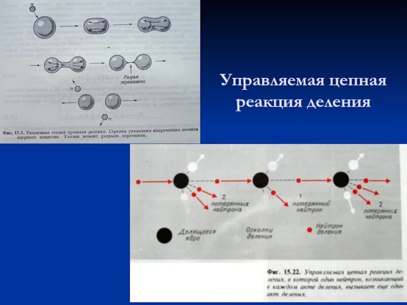 Управляемые цепные ядерные реакции это. Цепная ядерная реакция деления. Управляемая цепная ядерная реакция. Управляемая цепная ядерная реакция деления.