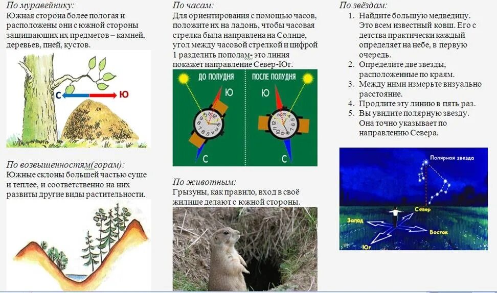 Как в лесу определить где. Способы ориентирования на местности без компаса. местные признаки ориентирования. рассказ как ориентироваться в лесу без компаса. способы ориентирования география.