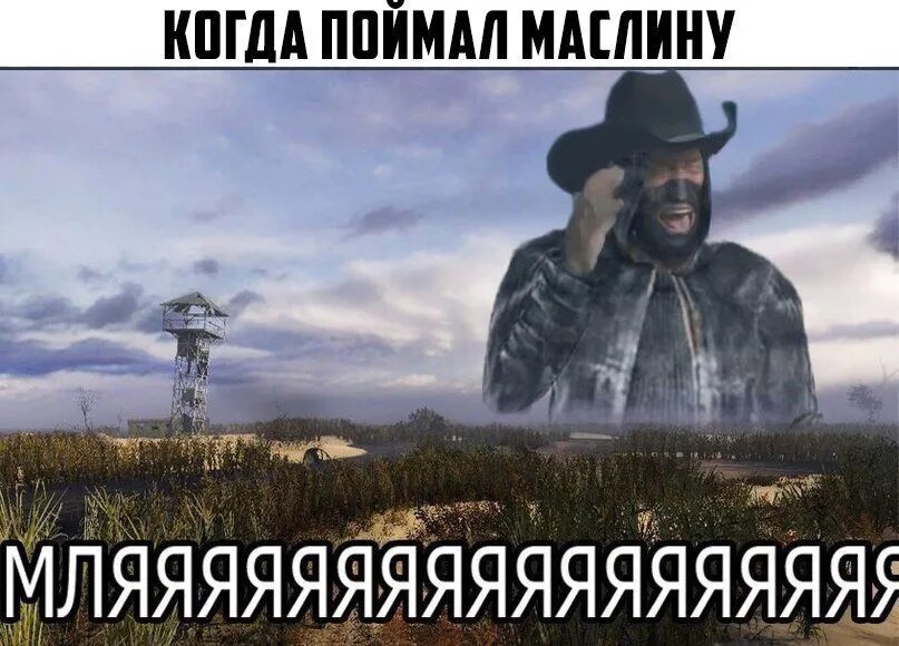 Мля маслину. Маслина сталкер. маслину поймал. сталкер маслину поймал. мля я маслину поймал.