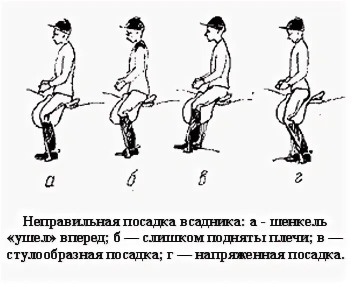 Посадка движения. Неправильная посадка всадника. Правильная посадка на строевой рыси. Правильное положение шенкеля всадника. Правильная поза шенкеля.