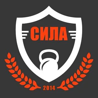 Особая организация силы