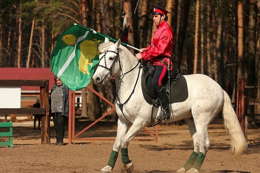 Конный спорт институт. КСК Пегас парк Дракино. КСК Пегас Дракино. КСК Пегас конюшня. КСК Пегас Серпухов.