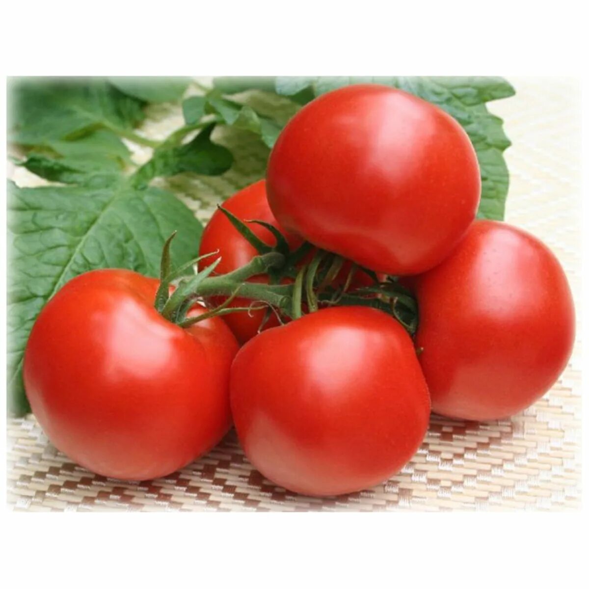 томат евпатор f1 1+1 25шт/10. евпатор сорт томатов. помидоры евпатор. гавриш томат евпатор f1. томат евпатор f1.