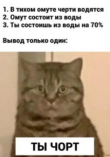 В тихом омуте черти водятся что означает