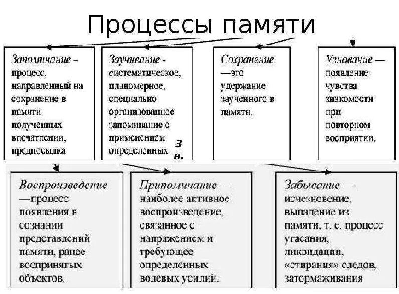 Перечислите процессы памяти. Процессы памяти запоминание сохранение воспроизведение. основные процессы памяти в психологии. характеристика основных процессов памяти. характеристика процессов памяти в психологии.
