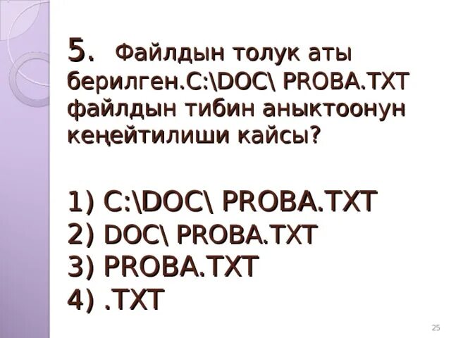 Файл жана папка. Папка жана файилдар информматика.