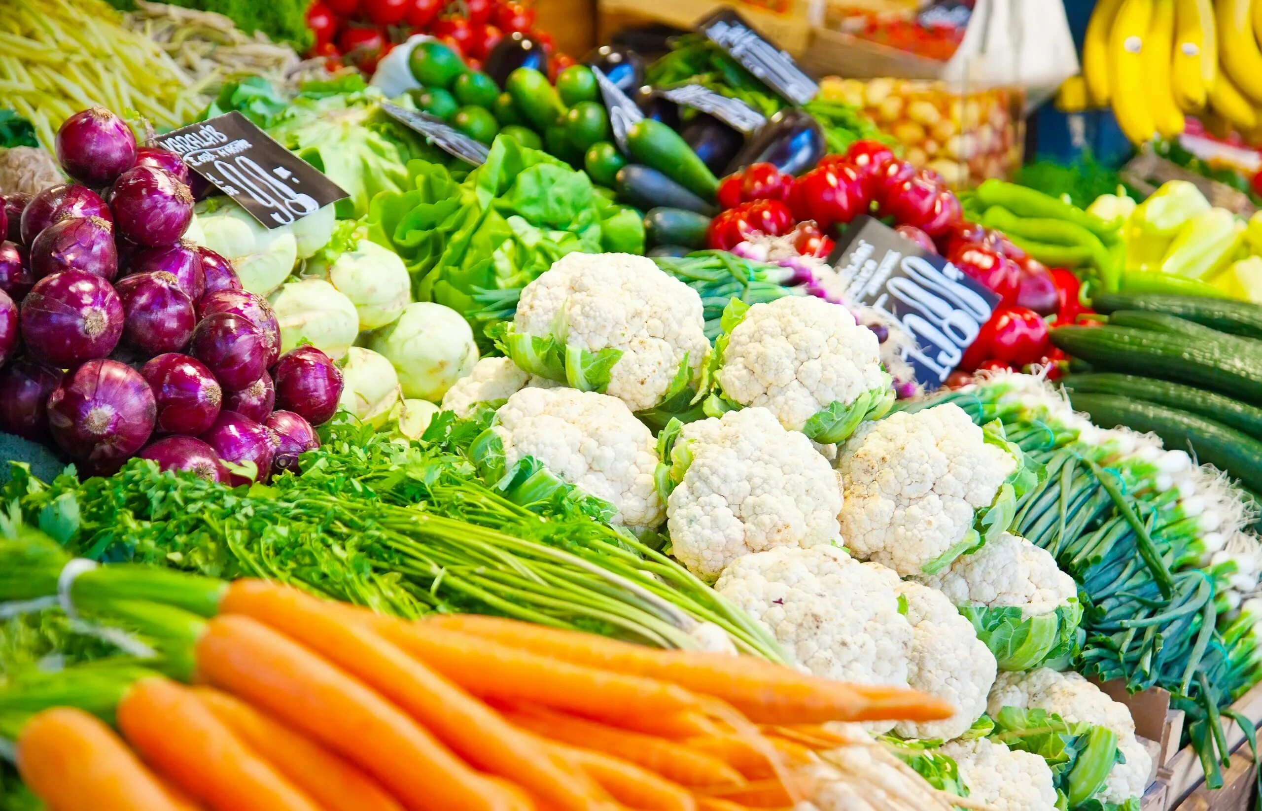 Пищевая сельскохозяйственная продукция. Овощи. Овощи и фрукты. Продукты овощи. Овощная продукция.