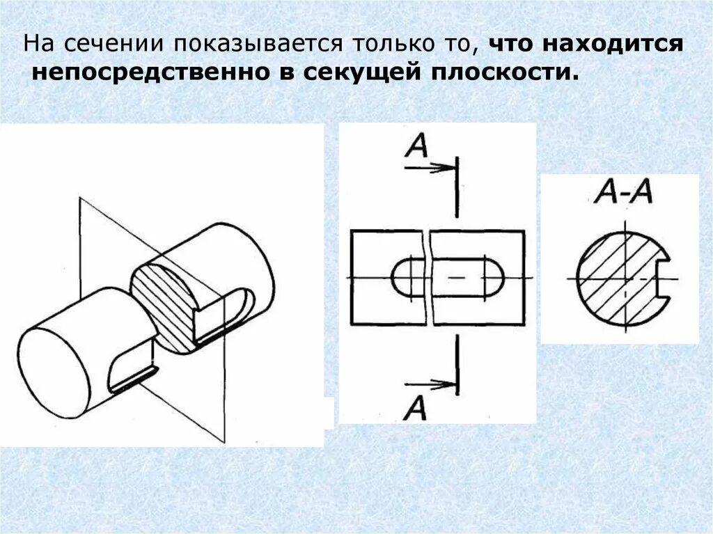 Тело округлое в сечении. На сечении показывается:. В сечении показывается то, что:. Что в сечении. Сечении показывается то. В сечении показывается то что находится.