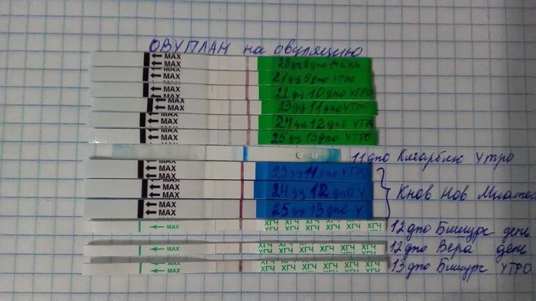 ХГЧ на 12 день после зачатия. ХГЧ на 13 ДПО. ХГЧ на 13 день после овуляции. Тесты после инсеминации. Заболела после овуляции