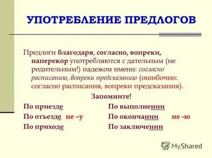 Вопреки предсказанию старожилов было тепло