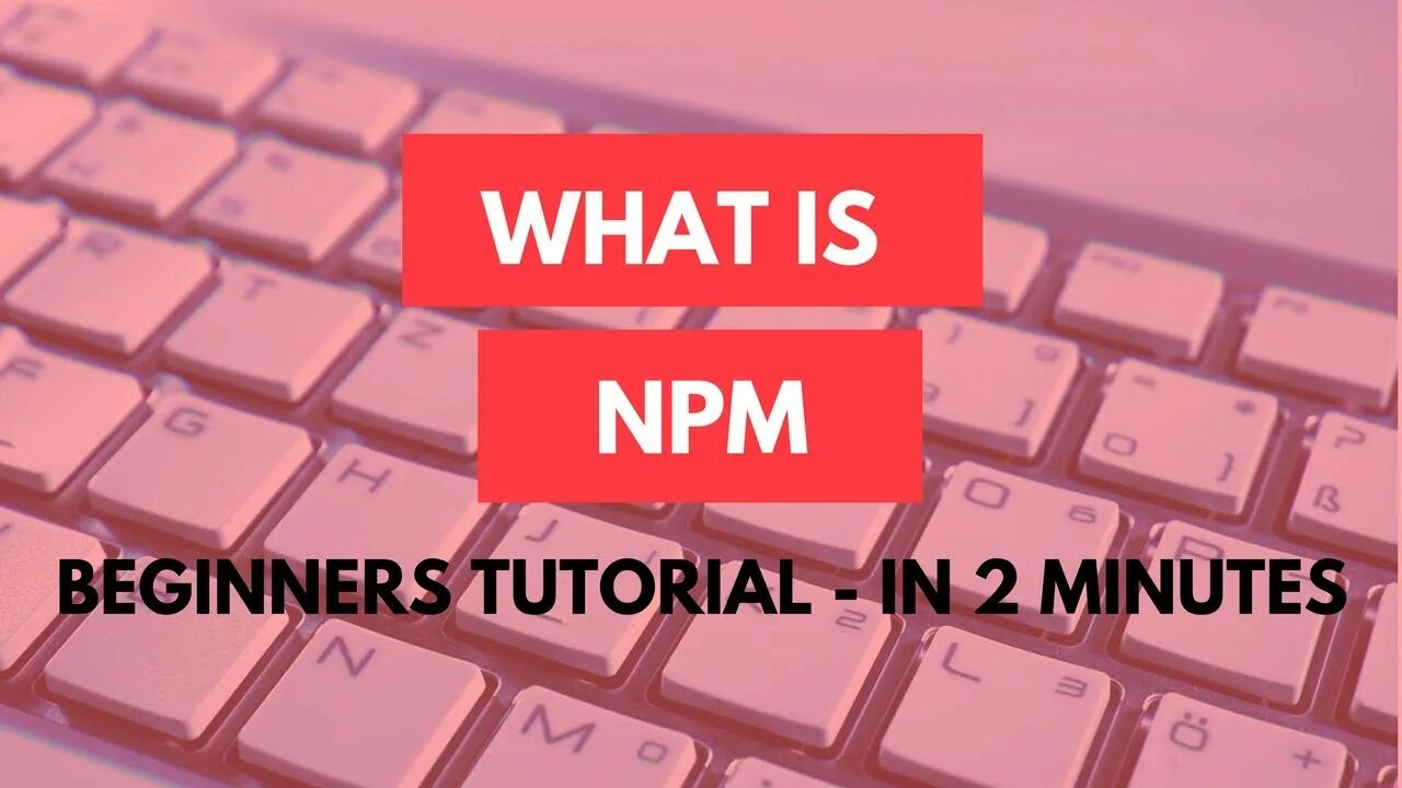 Installing template dependencies using npm. Npm. toastification npm.