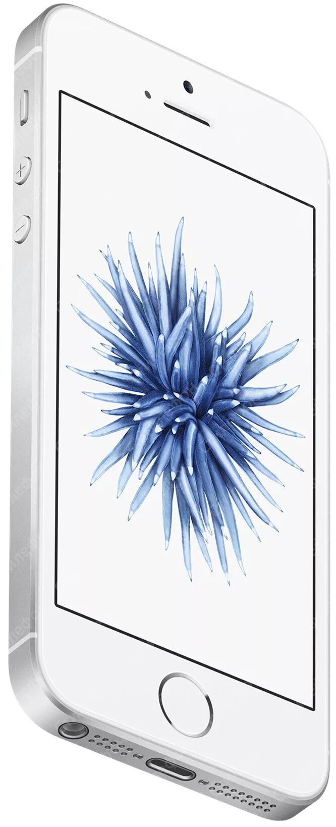 Apple se dns. Смартфон apple iphone se 32gb. iphone se silver. айфон се 1. iphone se 1 серебристый.