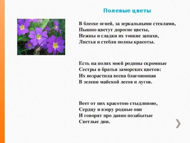 Бунин цветы и шмели трава колосья. Стихотворение Ивана Бунина полевые цветы. Стихотворение о полевых цветах. Стих полевые цветы 3 класс.