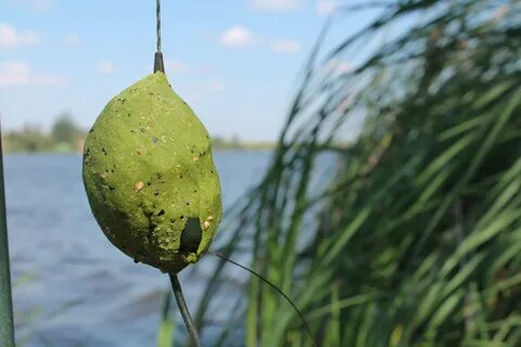 Как ловить белого