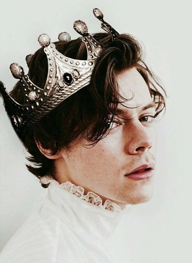 Парни принцесс. Королевская Эстетика принц. Корона Harry Prince. Aesthetic Король. Принц Николас.