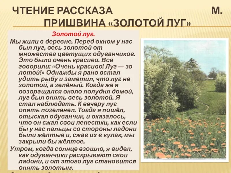 Произведение м Пришвина золотой луг. Рассказ Пришвина золотой луг. Рассказ м Пришвина золотой луг. М М пришвин рассказ золотой луг. Золотой луг распечатать текст