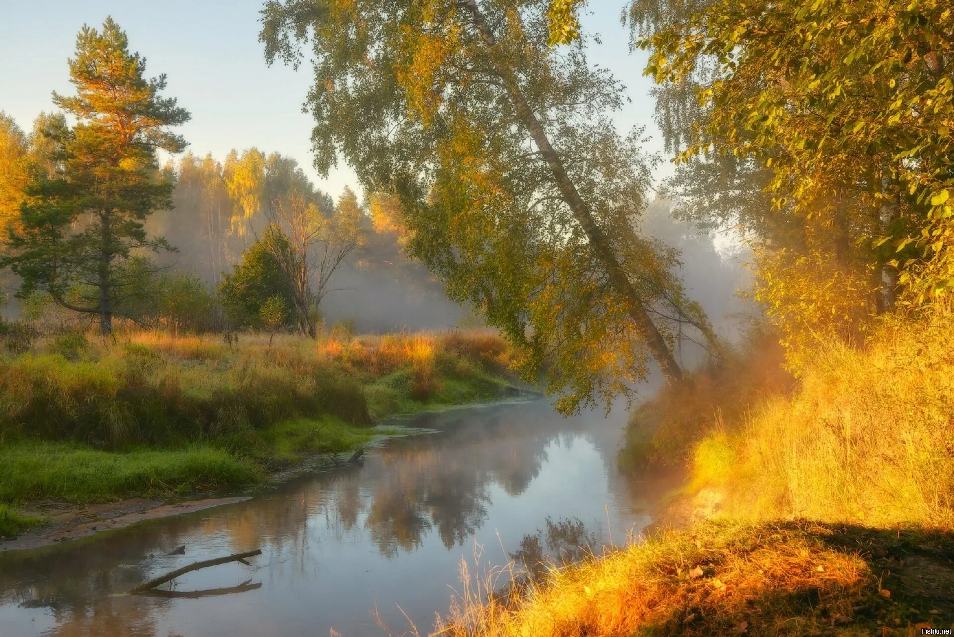 Река Нерская осенью Московская область. Река Нерская осень. Река Нерская природа. Река Тулва осень. Ранним утром сентября