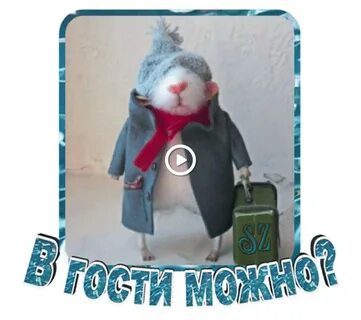 Приглашаю завтра