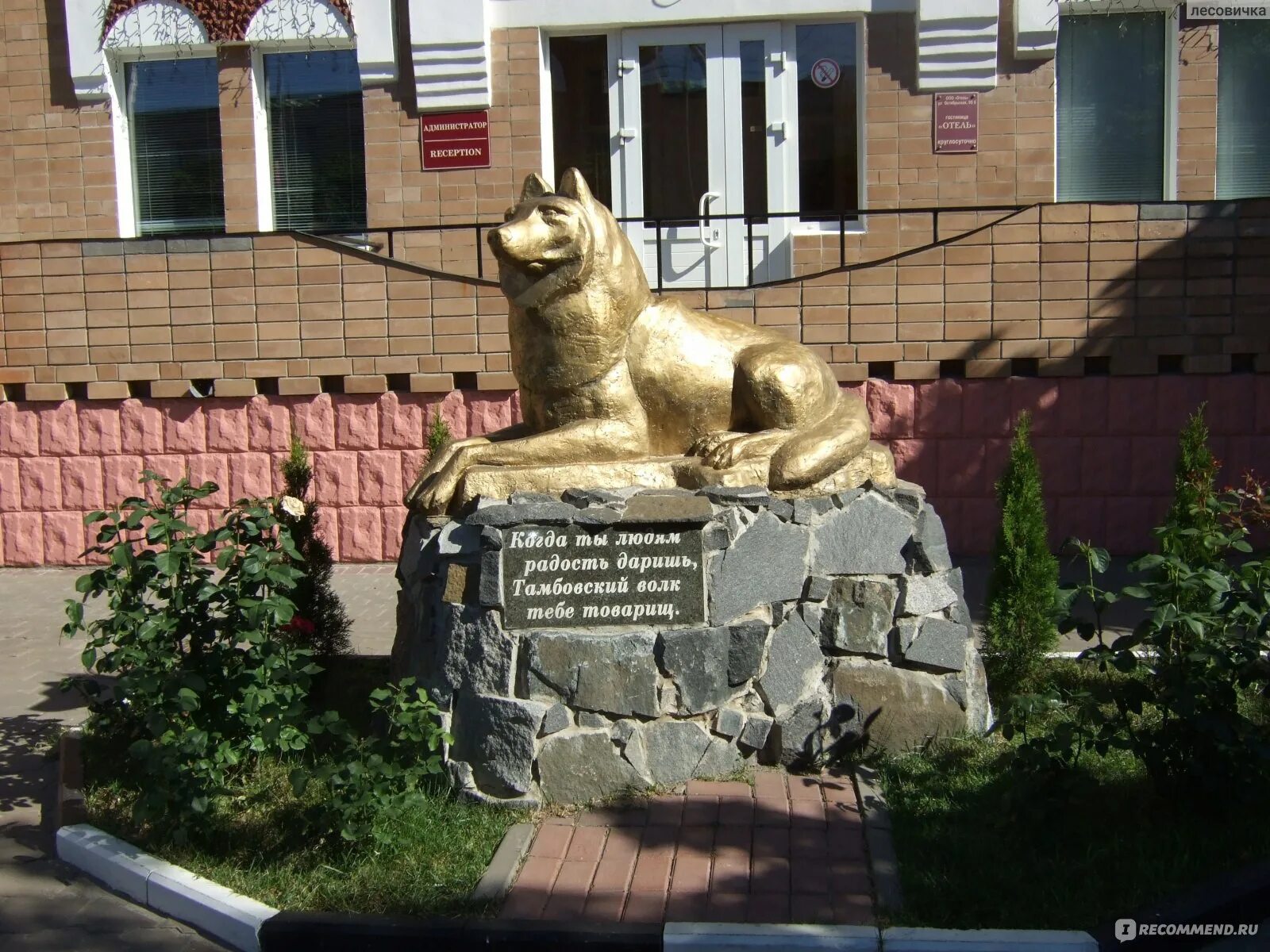 Тамбовский волк скульптура в Тамбове. Памятник волку в Тамбове. Октябрьская 95 Тамбов памятник волку. Достопримечательности Тамбова Тамбовский волк. Памятник тамбовскому волку