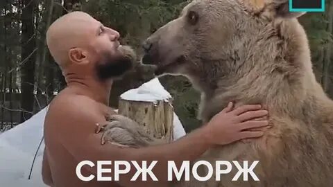Серж морж