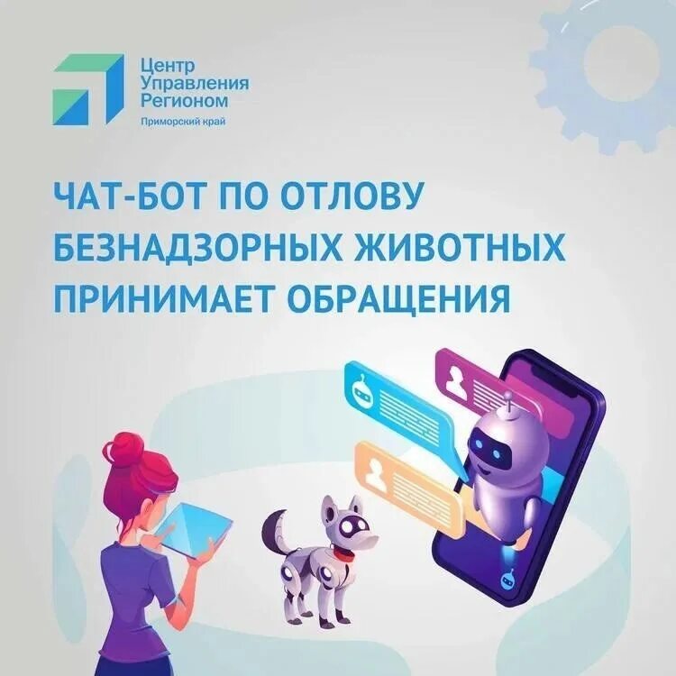 Чат бот телеграм. Чат приморья. Чат приморья. Вдк. Приморский экологический оператор официальный сайт.