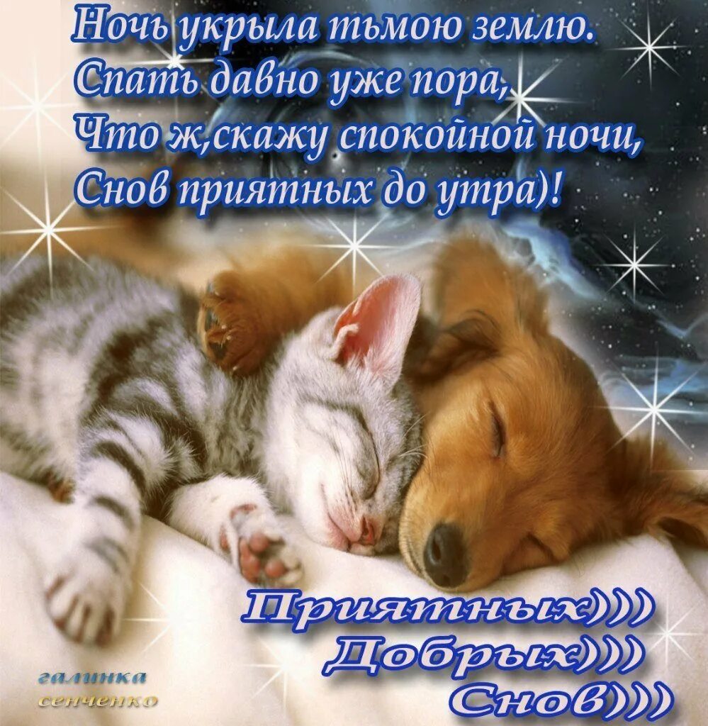 Можно ли желать спокойной. Пожелания спокойной ночи. пожелания доброй ночи. открытки с пожеланием спокойной ночи. спокойной ночи сладких снов.