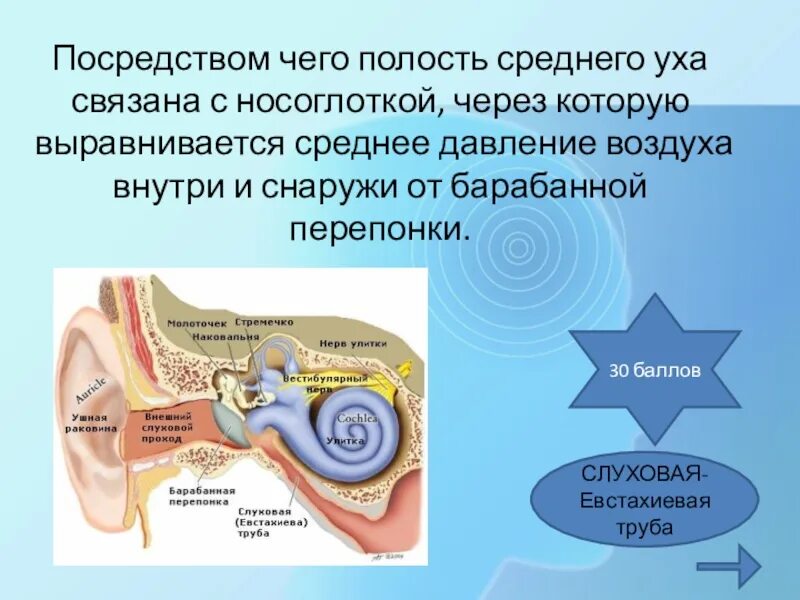 Давление в среднем ухе превышает