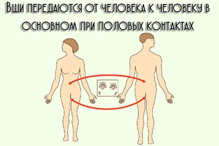 Прыщи на лобке: причины появления, симптомы заболеваний, лечение